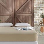 Combed Cotton Fitted Sheets – New Variants